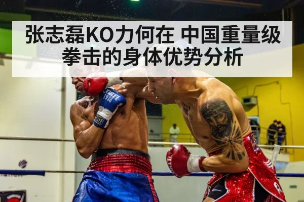 张志磊KO力何在 中国重量级拳击的身体优势分析
