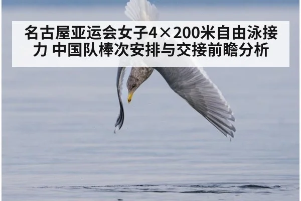 名古屋亚运会女子4×200米自由泳接力 中国队棒次安排与交接前瞻分析